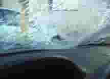 Kính xe Honda Civic